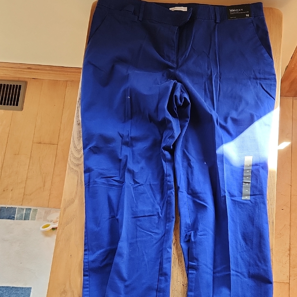 New York & Company Men's Blue Chinos